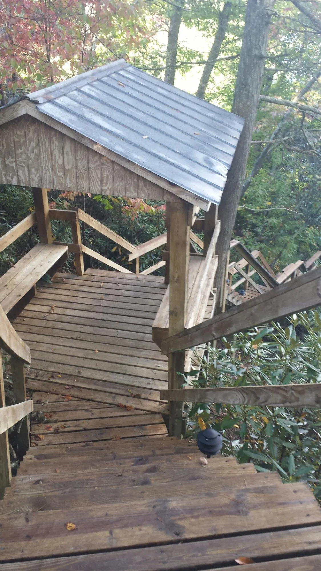 Metal roofed shelter over wooden steps on a wooded walkway — Skylight Repair & Installation work by our crew in Doerun